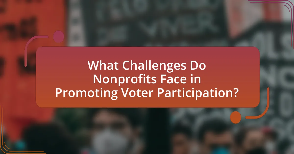 What Challenges Do Nonprofits Face in Promoting Voter Participation?