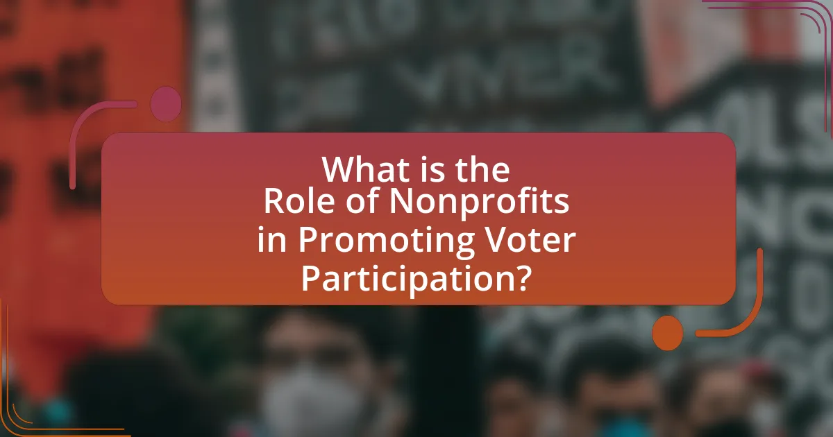 What is the Role of Nonprofits in Promoting Voter Participation?